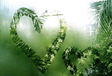 中超俱乐部最新排名榜是怎样的？各队表现背后有哪些故事？